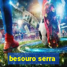 besouro serra-pau morde